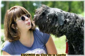  Bouvier des Flandres expositions tous prim&eacute;s